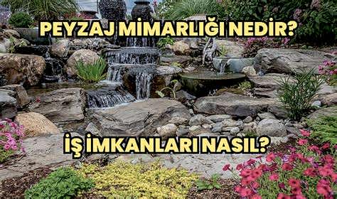 Peyzaj Mimarlığı Nedir?