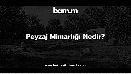 Peyzaj Mimarlığı Nedir?